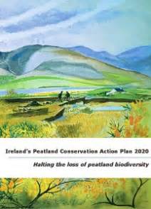 Peatland Action Plan 2020 Halting the Loss of Peatland Biodiversity ...