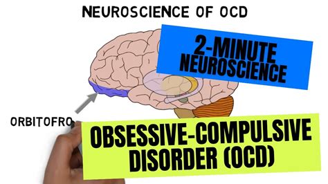 2-Minute Neuroscience: Obsessive-Compulsive Disorder (OCD) - YouTube