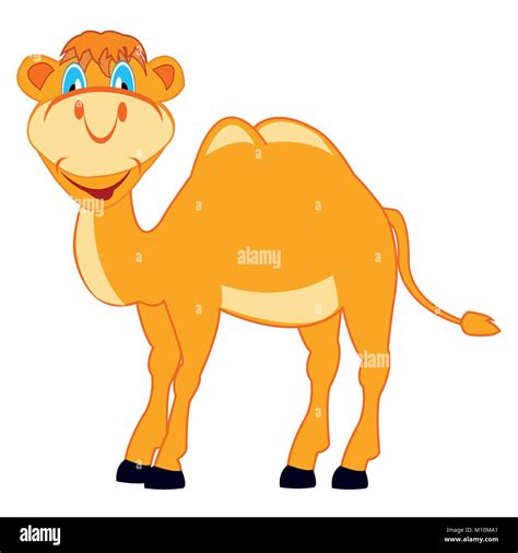 Camel Tail High Resolution Stock Photography and Images - Alamy