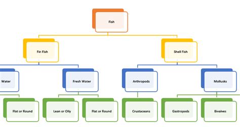 What are the classification of fish? [2022] | QAQooking.wiki