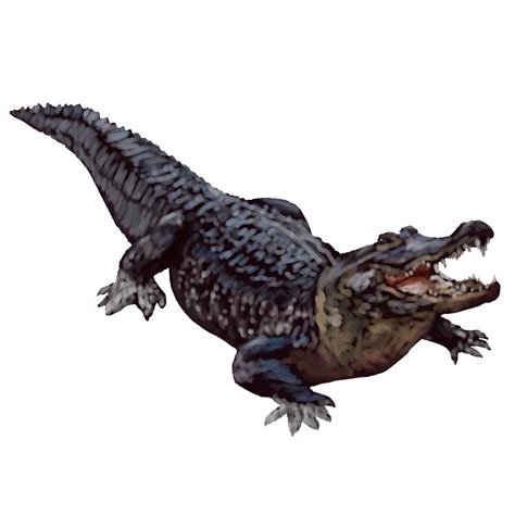 Alligator Transparent Background Transparent HQ PNG Download | FreePNGImg