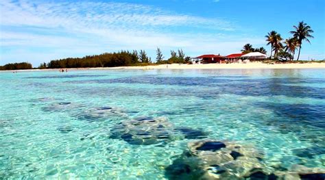 Snorkeling in freeport Bahamas | Bahamas vacation, Bahamas honeymoon, Paradise island bahamas