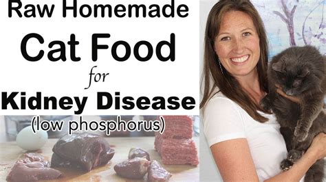 Homemade Cat Food For Kidney Disease - Homemade Ftempo