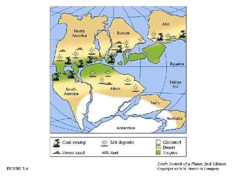 PLATE TECTONICS Alfred Wegener 1880 1930 Alfred Wegener