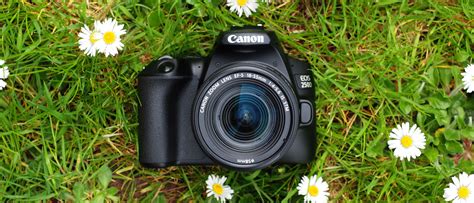 Canon EOS 250D review | Digital Camera World