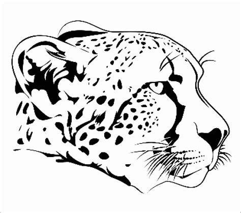 Realistic Cheetah Coloring Page - ColoringBay