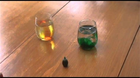 Diffusion Experiment - YouTube