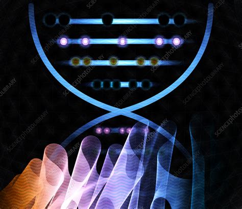 DNA computing, conceptual illustration - Stock Image - F027/9825 - Science Photo Library