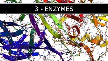 CIE A level biology ppt for syllabus 2022-2024 Uint 3 Enzymes PPT by Tina Qin