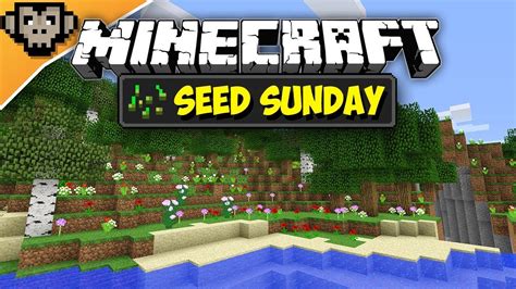 Minecraft Pe Flower Field Seed | Best Flower Site