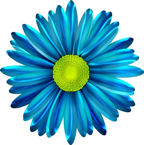 Blue Flower Clipart Blue Daisy - Blue Daisy Flower Png Transparent Png - Full Size Clipart ...