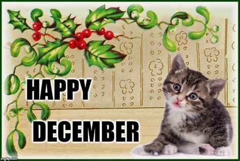 Happy December - Imgflip