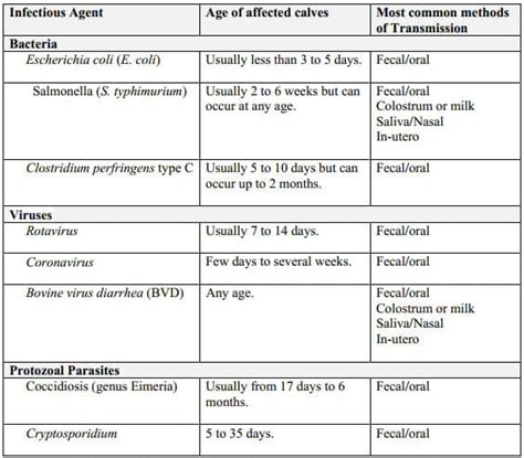 Calf Health Management - Engormix