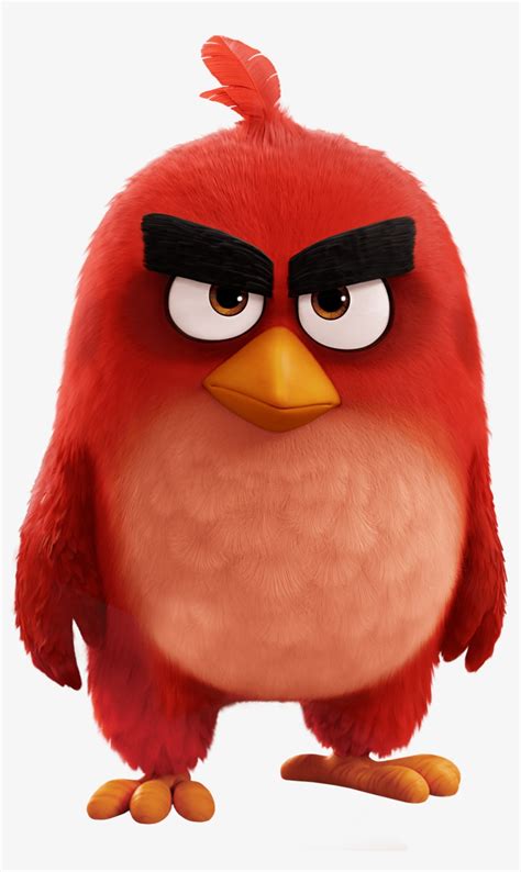 Angry Birds Movie Characters Transparent PNG - 1377x2068 - Free ...