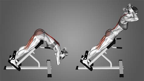 Lower Back Exercises Machine