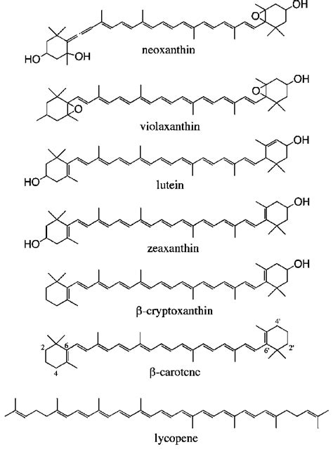 Xanthophyll Structure