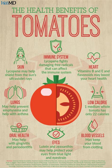 You say Tomato, I say Tomato | Health benefits of tomatoes, Food health ...