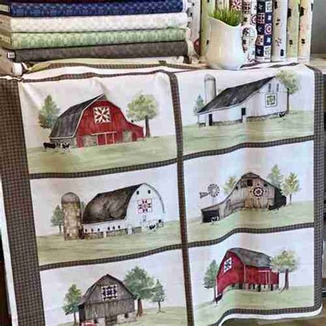 How to make Pillows from the Barn Quilts Placemat Panel