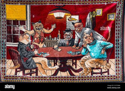 Cats on a rug playing cards Stock Photo - Alamy