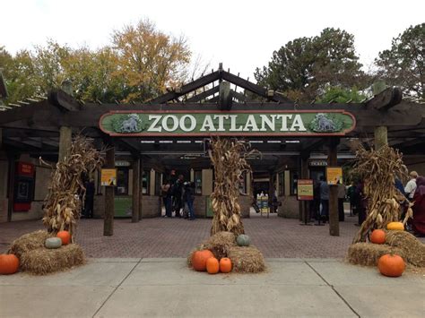 Atlanta Zoo Restaurants - Shoot Art