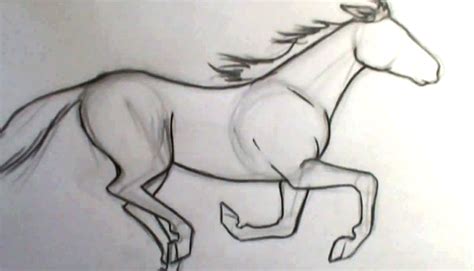 Pics Photos - Horses Galloping Drawing