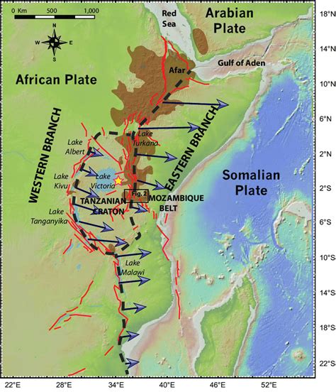 Volcanic Activity And Hazard In The East African Rift Zone, 58% OFF