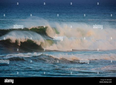 Surfing on the north shore of Oahu, Hawaii Stock Photo - Alamy