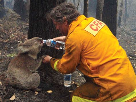 Black Saturday bushfires | Causes, Deaths, Map, & Location | Britannica