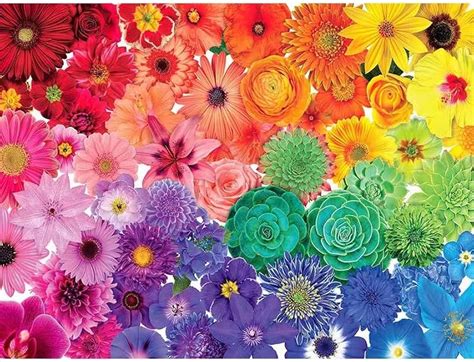 はいたしか 【新品未使用】Flower Jigsaw Puzzleの セットにな