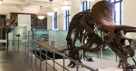 Hall of Ornithischian Dinosaurs | AMNH