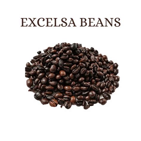 Excelsa Coffee at Rs 540/kg | Dark Roasted Coffee in Thane | ID: 2852780906173