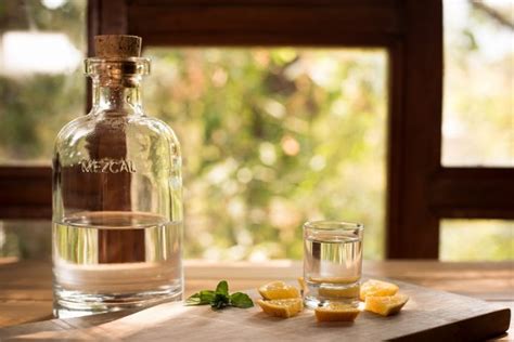 How to do a Proper Mezcal Tasting - Techicy