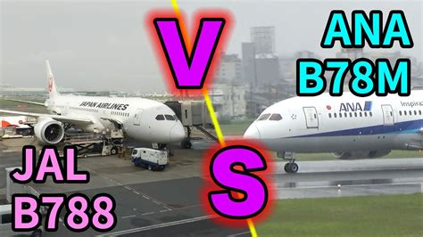 【ANA vs JAL】国内線B787空の頂上決戦！JAL/B788とANA/B78M乗り比べ！ - YouTube