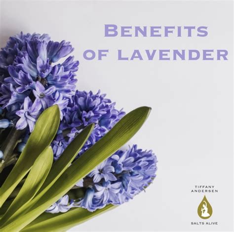 Top Reasons Lavender is Effective in Skin and Haircare - Tiffany Andersen