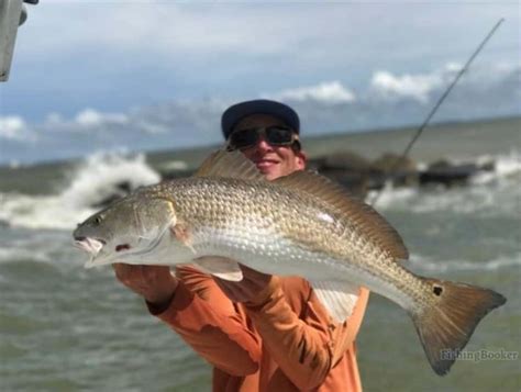 Best Times & Seasons to Catch Redfish in Texas (Full Guide) - Freshwater Fishing Advice