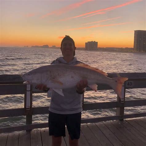 ᐅ Apache Pier fishing reports🎣• North Myrtle Beach, SC (United States ...