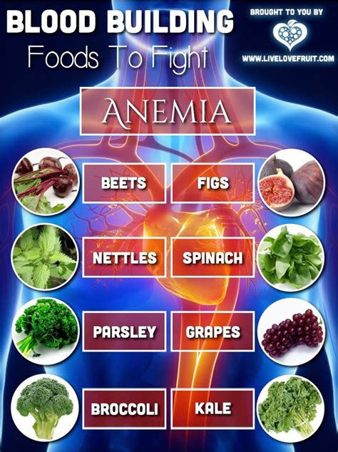 Iron Rich Foods For Anemia List | Deporecipe.co