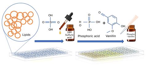 Lipid Quantification Assay