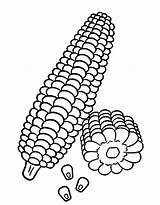 Sweet Corn Coloring Page Pages sketch template