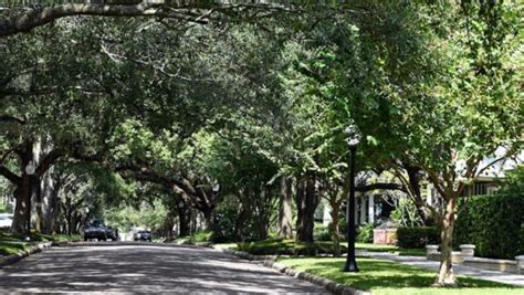 First ever Hyde Park Garden Tour - That's So Tampa