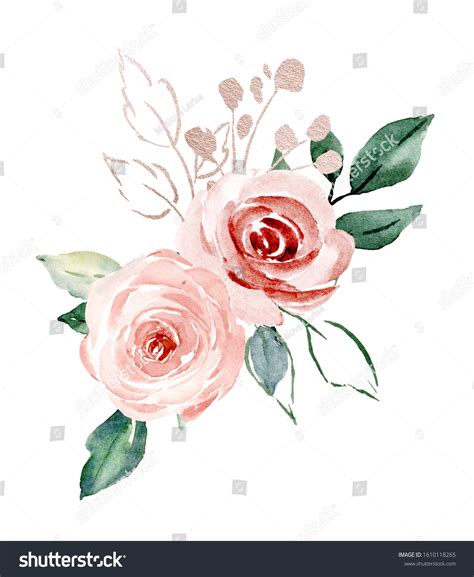 Flowers Pink Watercolor Floral Blossom Clip Stock Illustration ...