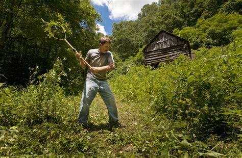 Caudill Cabin brings generations of descendant together | Travel ...