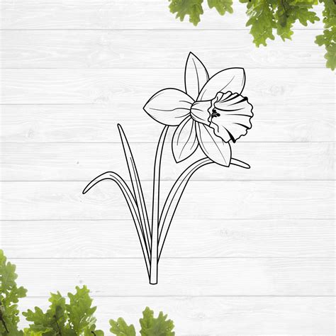 Daffodil Flower Outline Svg - Etsy