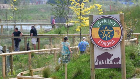 New faces greet visitors as Yorkshire Wildlife Park reopens | ITV News Calendar