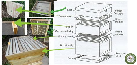 Modern bee farming(how the cab hive works) | KAAA