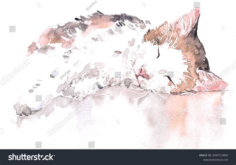 Watercolor Illustration Cute Sleeping Cat Stock Illustration 2097713842 ...