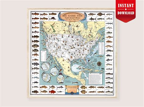 Big Game Fish Map Download Fish Map of the US Big Game Poster Digital ...