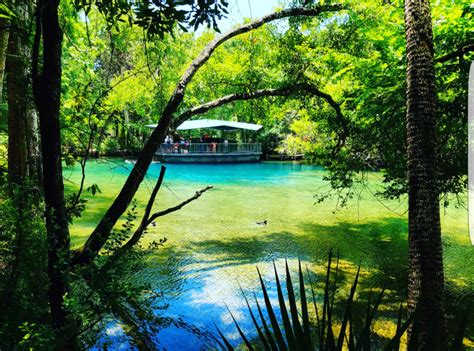 Springs at Homosassa | Florida State Parks