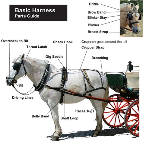 Horse Driving Harness Parts