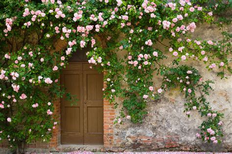 Enviable Entryways: 20 Fancy Homes that are Covered in Flowers ...